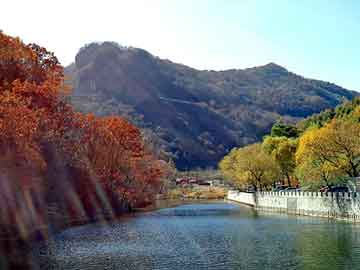 新澳门二四六天天彩，半块铜板